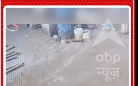 6 कुत्तो ने छोटी बच्ची पर किया हमला