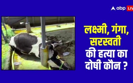 क्या चरवाहे ने 10  गायों को मौत के घाट उतारा ? तेलंगाना के इस गांव में चौंकाने वाला मामला
