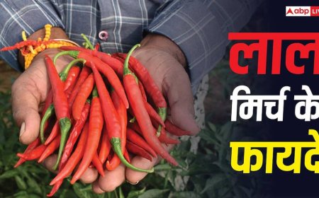 Red Chilli Benefits: क्या डायबिटिक नर्व पेन में आराम दिलाती है लाल मिर्च, जानें क्या कहते हैं एक्सपर्ट?