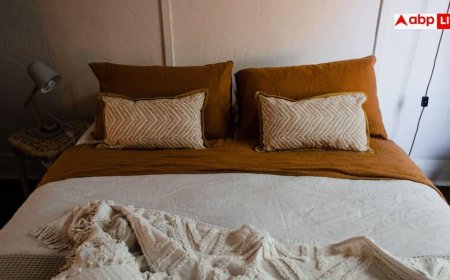 Best Pillow For Neck Pain: सॉफ्ट या हार्ड, ऊंचा या पतला... गर्दन दर्द से बचने के लिए कौन-सा तकिया सबसे अच्छा?
