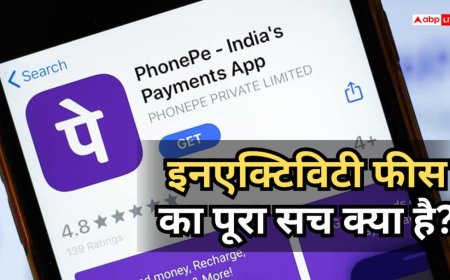PhonePe यूजर्स सावधान, वॉलेट इस्तेमाल नहीं करने पर क्या बैंक अकाउंट से कट जाएंगे पैसे?