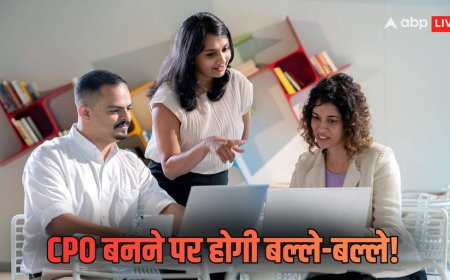 Explained: कॉर्पोरेट दुनिया का नया खिलाड़ी बना CPO! 'चीफ पर्पस ऑफिसर' पद क्या है और क्यों बढ़ रही डिमांड? जानें कैसे बनें
