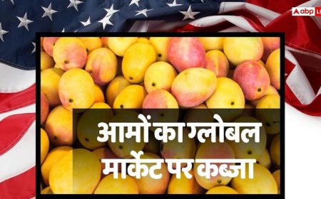 Mango Export: हवाई जहाज छोड़ समुद्र से विदेश भेजे जा रहे आम, इस ट्रिक से कैसे मालामाल होंगे किसान?