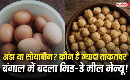 Eggs vs Soybeans : अंडा Vs सोयाबीन... प्रोटीन के मामले में ज्यादा ताकतवर कौन? बंगाल में मिड-डे मील का बदल गया मेन्यू