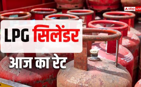 LPG Price Today: 14 किलो वाला गैस सिलेंडर बुक कराने से पहले जान लें आज का रेट, आपके शहर में कितनी है कीमत?