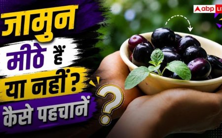 Jamun Buying Tips : जामुन मीठे हैं या नहीं? खरीदने से पहले बिना चखे ऐसे पहचानें
