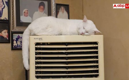Air Cooler Humidity Tips: बदलते मौसम में आपका कूलर भी फेंकने लगा है चिपचिपी हवा, तुरंत अपनाएं ये ट्रिक्स