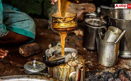 Ginger Tea Health Risks: फायदेमंद समझकर ज्यादा अदरक की चाय पीना पड़ न जाए भारी! आज ही जान लें ये जरूरी बातें