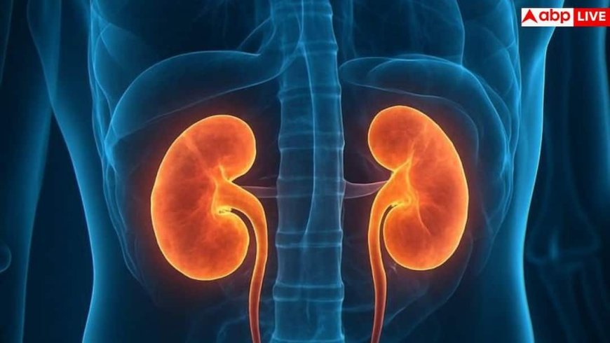 Kidney Disease: 2040 तक मौत का 5वां बड़ा कारण बनेगी किडनी की बीमारी, लैंसेट की रिपोर्ट में डरावना खुलासा