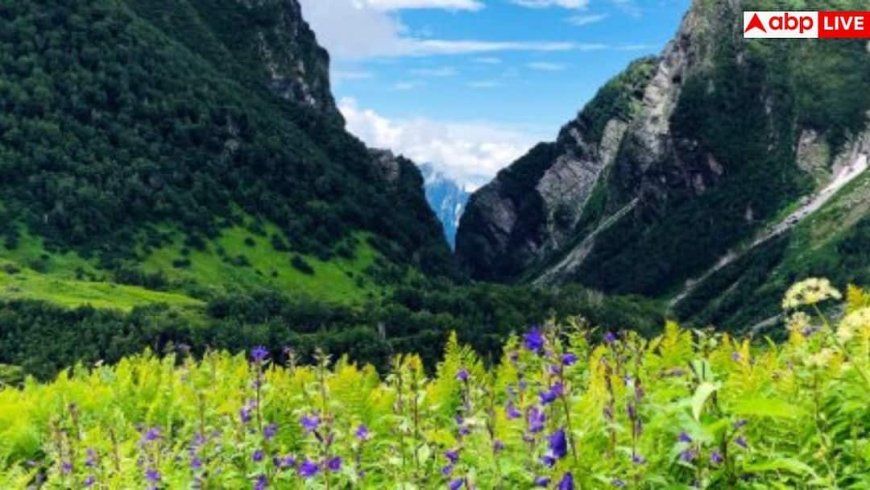 Valley Of Flowers: पर्यटकों के लिए खुली फूलों की घाटी, जानें ट्रेकिंग का सही समय और जरूरी बातें