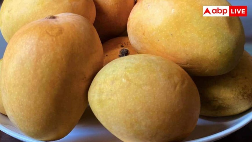 Mango Storage Tips: आम फ्रिज में रखने चाहिए या नहीं, जानें कैसे रख सकते हैं एक सप्ताह तक एकदम फ्रेश?