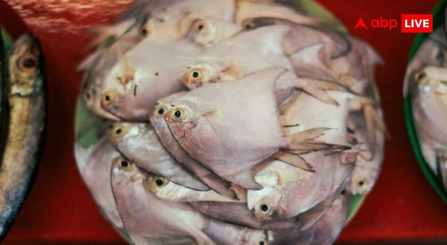 Best Fish for Children: बच्चों के खाने के लिए बेस्ट है ये पांच मछलियां, न के बराबर होते हैं कांटे