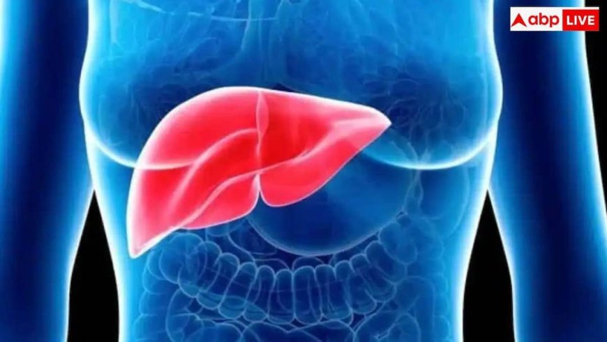 Fatty Liver Disease: शहरी भारत में हर तीसरा व्यक्ति फैटी लिवर का शिकार, नजरअंदाज किया तो हो सकता है कैंसर