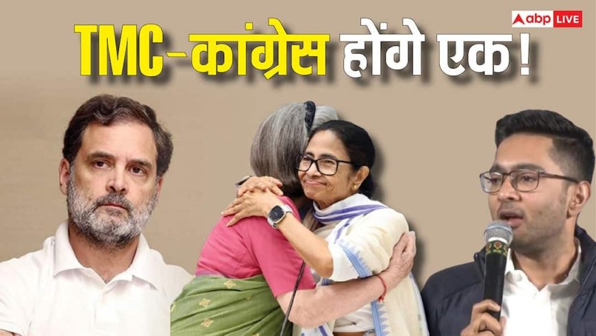 कांग्रेस में होगा TMC का विलय? अटकलों के बीच राहुल गांधी से मिले अभिषेक बनर्जी