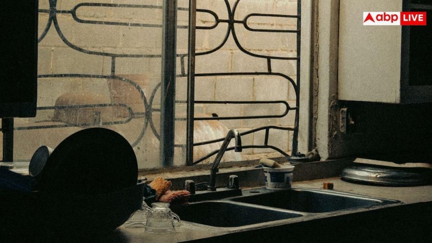 Kitchen Window Cleaning: महंगे क्लीनर भी फेल! किचन की काली-चिपचिपी खिड़की को चमका देगा रसोई का यह एक आसान नुस्खा