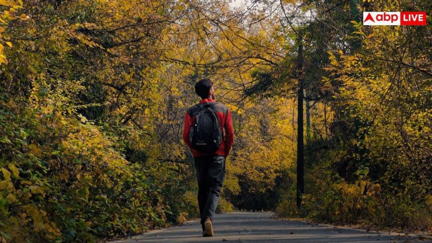 Daily Walking Distance: एक दिन में कितने किलोमीटर चलना होता है ठीक, इससे ज्यादा चले तो कितना खतरा?