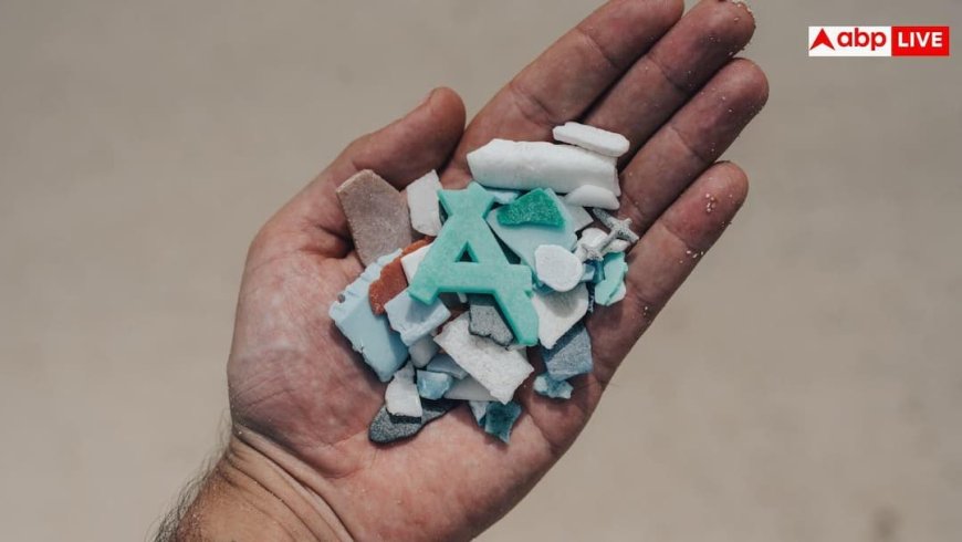 Microplastics vs Fertility: इस वजह से आपके घर में पैदा नहीं हो रहे बच्चे, पुरुषों और महिलाओं में लगातार बढ़ रहा बांझपन