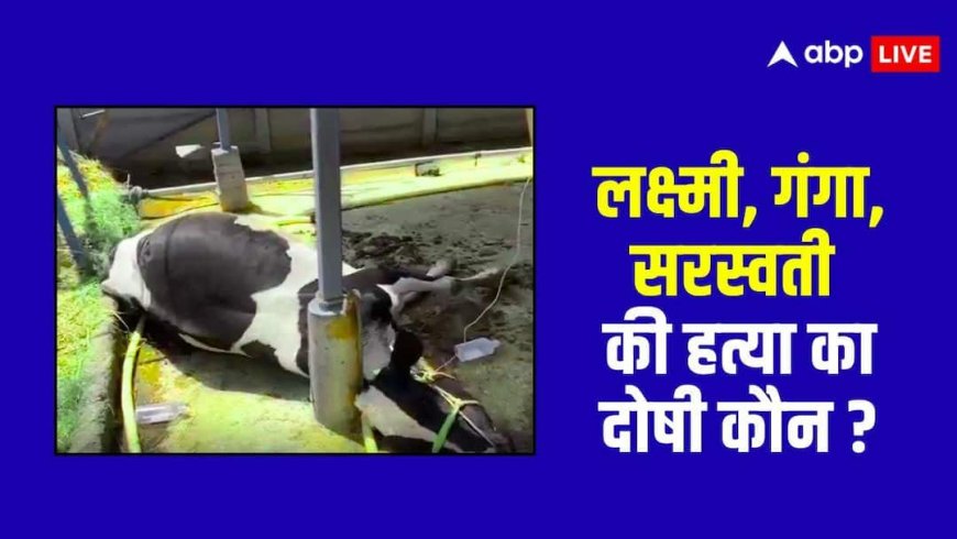 क्या चरवाहे ने 10  गायों को मौत के घाट उतारा ? तेलंगाना के इस गांव में चौंकाने वाला मामला