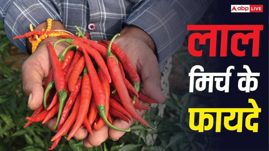 Red Chilli Benefits: क्या डायबिटिक नर्व पेन में आराम दिलाती है लाल मिर्च, जानें क्या कहते हैं एक्सपर्ट?