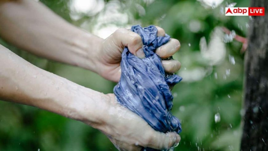 Hand Wash Clothes: महंगे कपड़े मशीन में हो जाएंगे बर्बाद, हाथों से धोने के लिए अपनाएं ये आसान ट्रिक