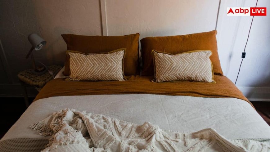 Best Pillow For Neck Pain: सॉफ्ट या हार्ड, ऊंचा या पतला... गर्दन दर्द से बचने के लिए कौन-सा तकिया सबसे अच्छा?