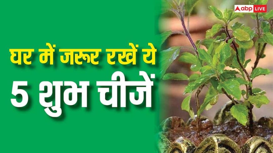 Vastu Tips: घर में जरूर रखें ये 5 शुभ चीजें, बनी रहेगी सुख-समृद्धि, सकारात्मक ऊर्जा और आर्थिक तरक्की