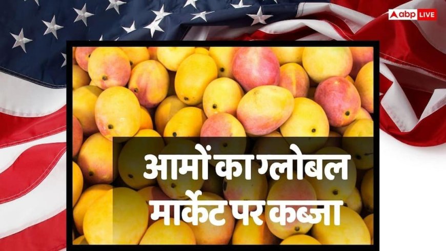 Mango Export: हवाई जहाज छोड़ समुद्र से विदेश भेजे जा रहे आम, इस ट्रिक से कैसे मालामाल होंगे किसान?
