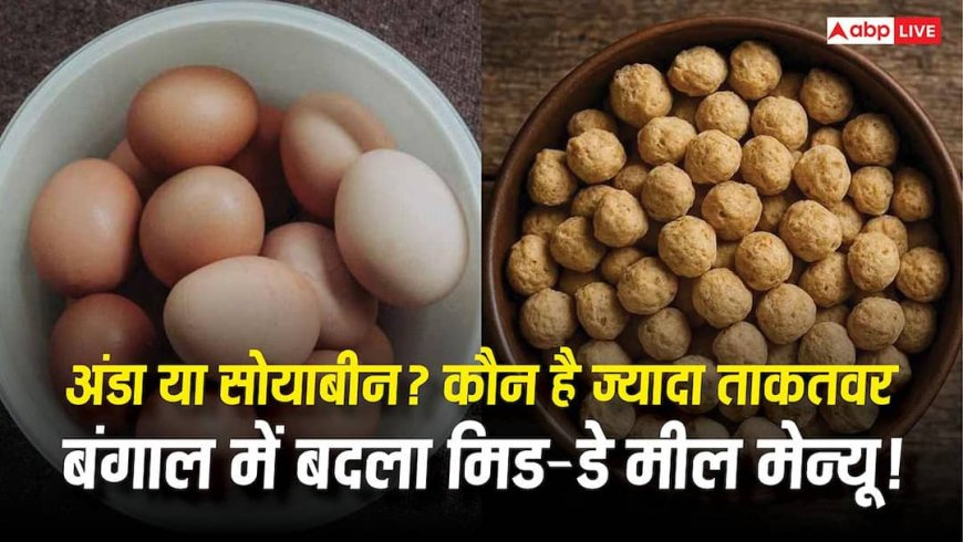 Eggs vs Soybeans : अंडा Vs सोयाबीन... प्रोटीन के मामले में ज्यादा ताकतवर कौन? बंगाल में मिड-डे मील का बदल गया मेन्यू