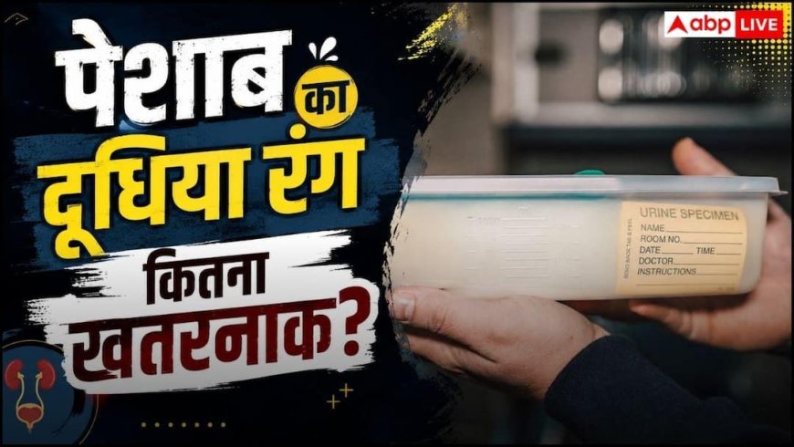 Milky Urine: सुबह-सुबह होता है एकदम दूधिया पेशाब? लापरवाही न करें तुरंत डॉक्टर से मिलें