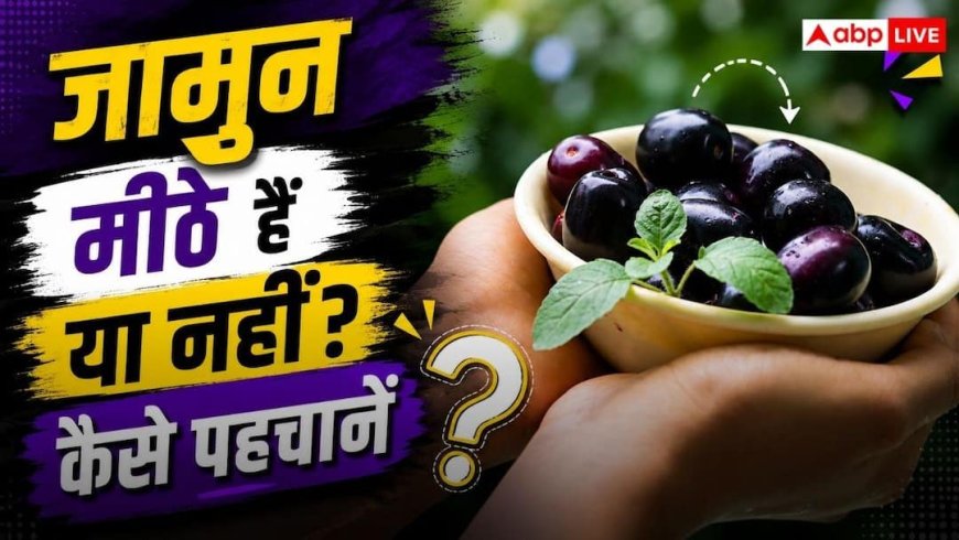 Jamun Buying Tips : जामुन मीठे हैं या नहीं? खरीदने से पहले बिना चखे ऐसे पहचानें