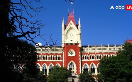 'संतान महिला देती है, पुरुष सिर्फ सहयोगी..', IVF की मंजूरी देते हुए कोलकाता HC ने सुनाया अहम फैसला