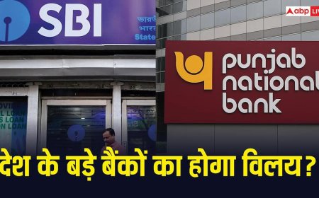 सरकार ने PNB-SBI और केनरा बैंक के विलय को दी मंजूरी? क्या इन बैंकों में है आपका खाता? पढ़ लें ये जरूरी खबर