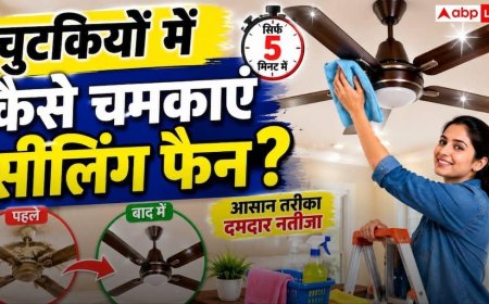 Ceiling Fan Cleaning Tips: बिना धूल उड़ाए मिनटों में चमकेगा सीलिंग फैन, नोट करें साफ करने की धांसू देसी ट्रिक