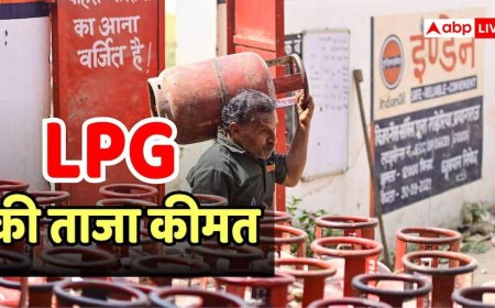 LPG Rate: घरेलू सिलेंडर के उपभोक्ताओं को नहीं राहत, आज भी नहीं गिरी कीमत; 3 जुलाई के रेट पर डालें नजर