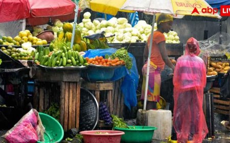 Monsoon Vegetable Buying Tips : बारिश में सबसे पहले सड़ती हैं ये 7 सब्जियां, खरीदते वक्त रहें सावधान
