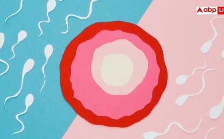 Male Fertility: सिर्फ सिगरेट या तंबाकू नहीं, इन वजहों से भी जीरो हो जाता है स्पर्म काउंट; नहीं बन पाएंगे पापा