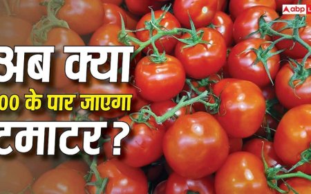 Tomato Price: मानसून गर्मी से राहत देगा, महंगाई से नहीं! बचाकर चलो टमाटर, फिर बढ़ गए रेट
