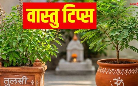 Vastu Tips: तुलसी के साथ इस पौधे को लगाने की भूल न करें, चली जाएगी घर की बरकत, कष्ट नहीं होंगे कम!