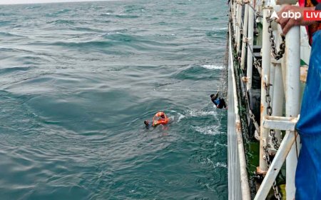 Andhra Pradesh Missing Fishermen: बंगाल की खाड़ी में उठा संकट! आंध्र प्रदेश के 7 मछुआरे समुद्र में लापता, तलाश में जुटे मरीन पुलिस