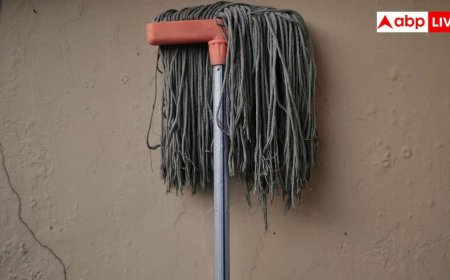 When To Replace Mop: कितने दिनों में बदलना चाहिए घर में यूज होने वाला पोछा, लापरवाही से इन बीमारियों का रहता है खतरा