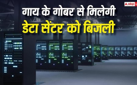 गाय के गोबर से मिलेगी एआई डेटा सेंटर को पावर, अमेरिका में चल रही तैयारी