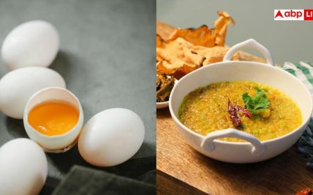 Egg Vs Dal: दाल-सब्जी के मुकाबले एक अंडे से कितना मिलता है प्रोटीन, बच्चों के पोषण पर कितना पड़ेगा असर?