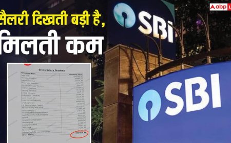 SBI Manager Salary: कागज पर 35 लाख रुपए, हाथ में कितना? SBI मैनेजर की सैलरी स्लिप देख घूम गया लोगों का सिर
