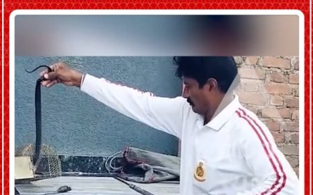 Viral Video: चूहे के पिंजरे में क्या कर रहा था 5 फीट लंबा कोबरा?