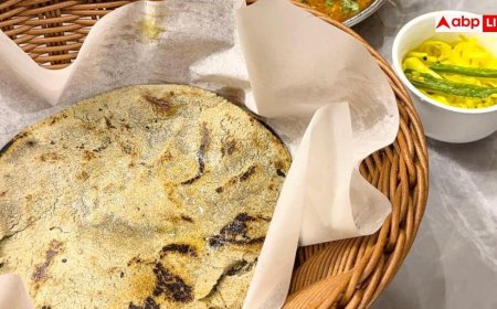 Best Roti for Health: मक्का-ज्वार-बाजरा या गेहूं... सबसे जल्दी पचती है किसकी रोटी, किसमें होती है सबसे ज्यादा ताकत?