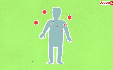 Chandipura Virus: गुजरात में फिर लौटा जानलेवा चांदीपुरा वायरस, जानें यह कितना खतरनाक