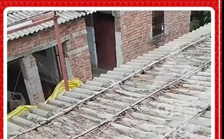 घर के अंदर एक तेंदुआ है और लोग बाहर हैं—अब वे क्या करेंगे?
