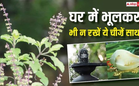 Vastu Tips: घर में तुलसी, शंख और शिवलिंग तीनों को एक साथ रखना पड़ सकता है भारी, तुरंत जान लें वजह