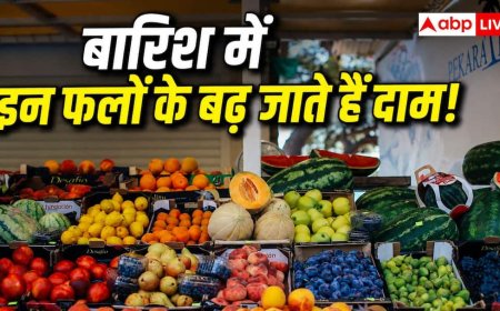 Expensive Fruits During Monsoon: बरसात के दिनों में कौन-कौन से फल हो जाते हैं महंगे? एक क्लिक में देख लें पूरी लिस्ट