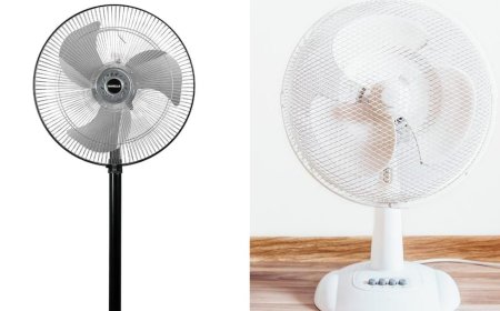 Tower Fan या Pedestal Fan! छोटी जगह के लिए कौन देगा सबसे ज्यादा ठंडक? जानिए एक घंटे में कितनी बिजली होती है खपत